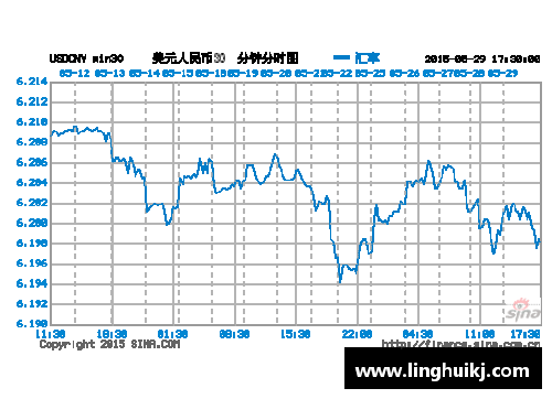 Bsports必一体育IMF：一季度人民币外汇储备达2874.6亿美元，占全球外汇储备新高 - 副本
